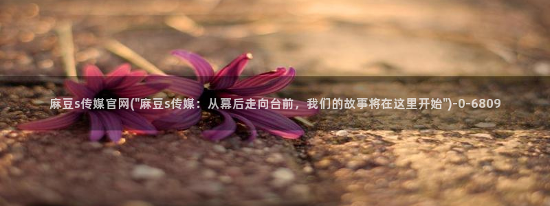 麻豆国产精选