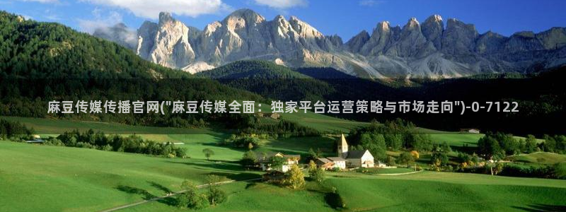 麻豆视频页面标题