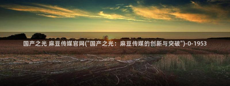 麻豆视频在线观看