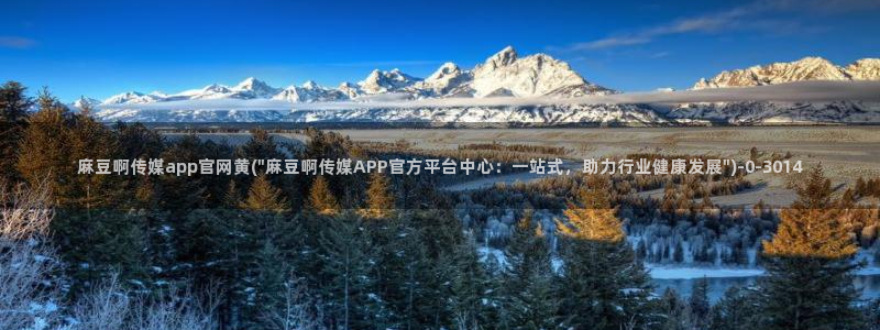 麻豆视频封面