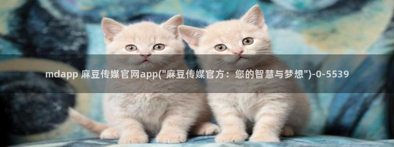 麻豆影视站