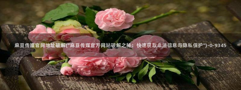 麻豆内容优化