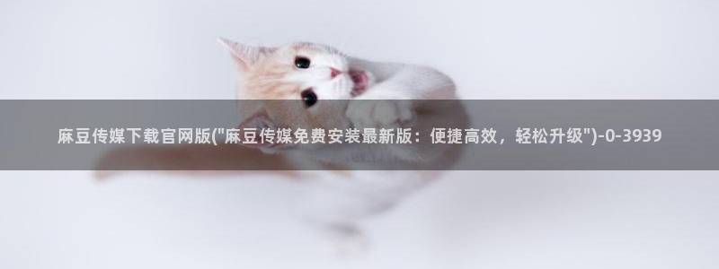 麻豆视频版权说明：麻豆传媒下载官网版(\