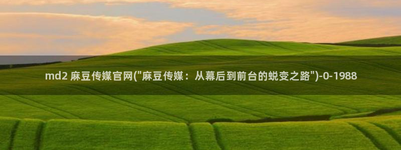 麻豆原创视频