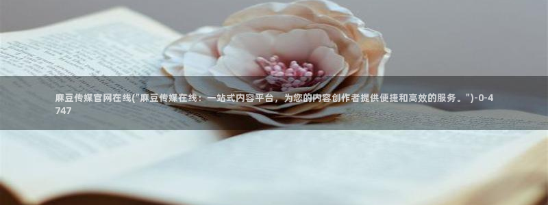 麻豆榜单描述