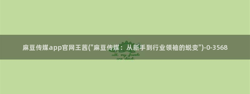 麻豆视频在线观看
