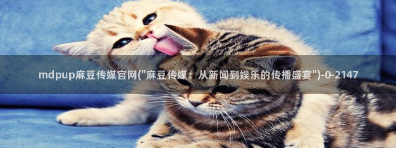 麻豆视频解说文案