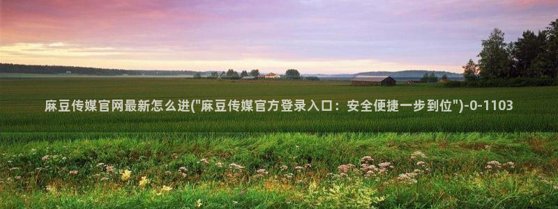 麻豆热门演员