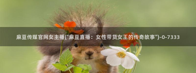 麻豆榜单标题