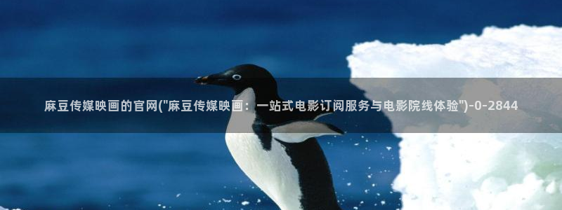 麻豆视频站群文案