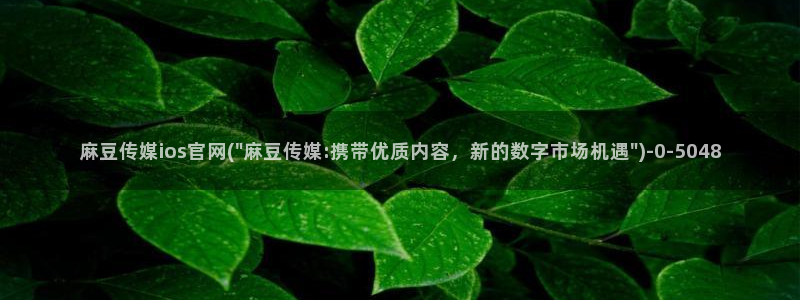 麻豆视频低竞争词