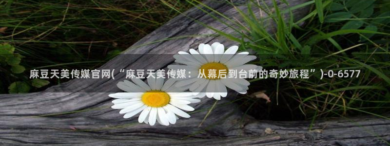 麻豆视频长尾关键词