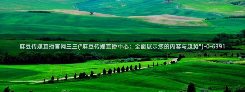 麻豆视频相关推荐