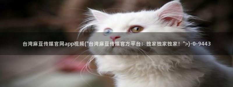 麻豆视频内容质量