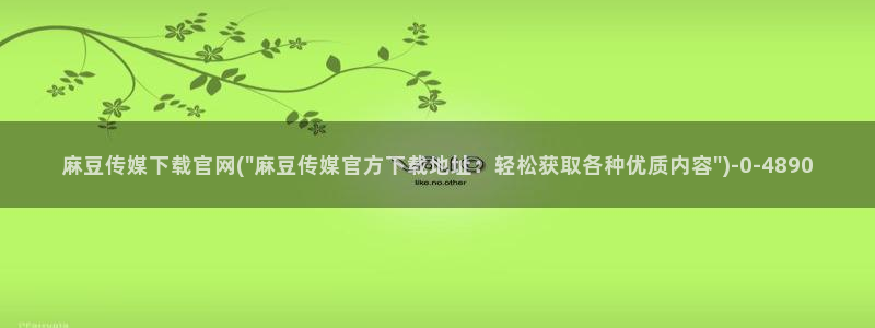 麻豆视频用户体验