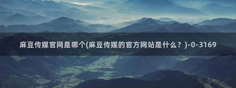 麻豆视频排行