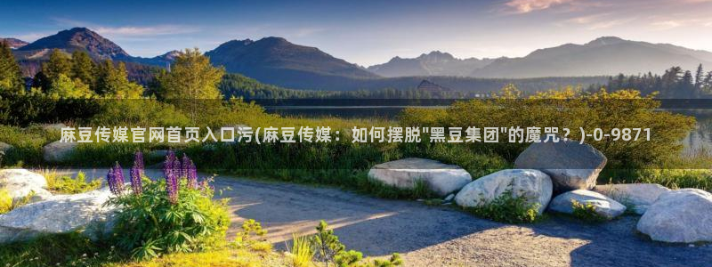 麻豆视频采集
