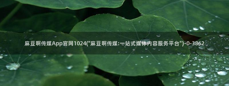 麻豆拍摄花絮