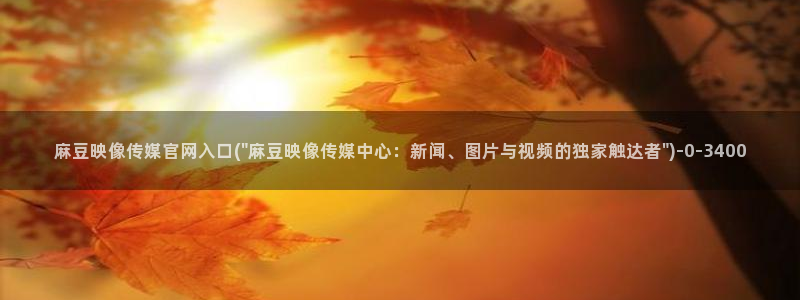 麻豆视频花絮