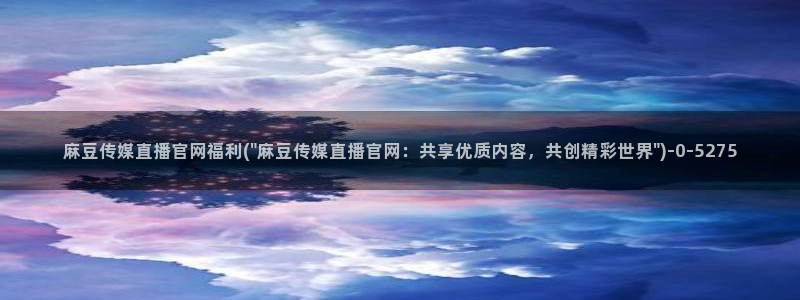 麻豆SEO模板