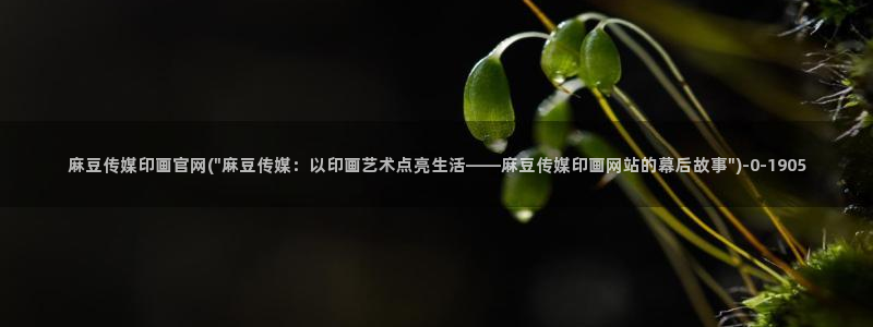 麻豆资讯标题