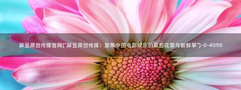 麻豆视频原创文案
