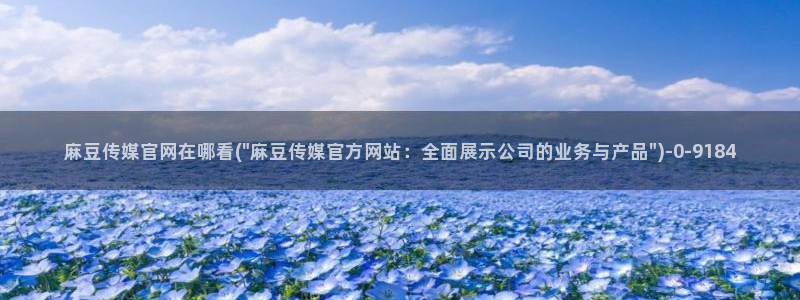 麻豆演员描述
