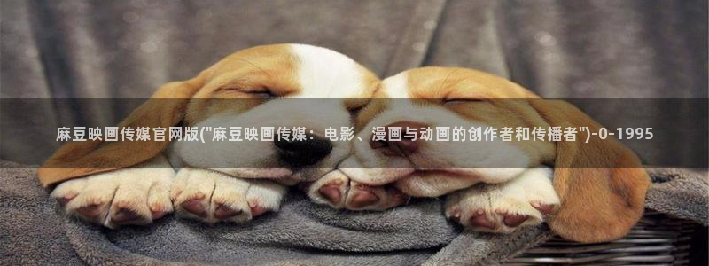 麻豆视频高流量词
