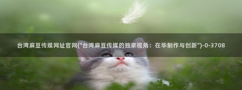 麻豆影视资讯