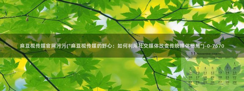 麻豆视频内容质量