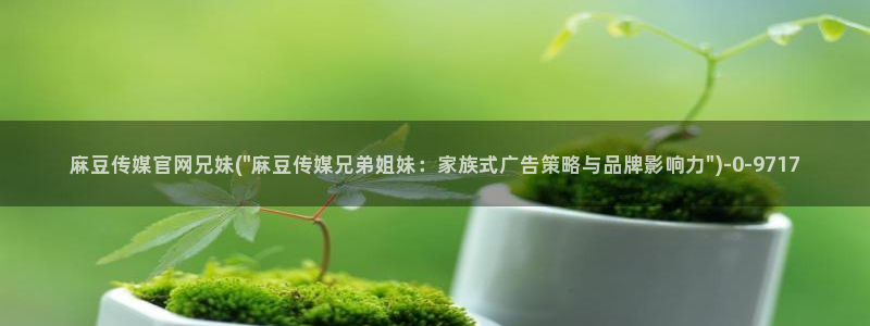 麻豆视频描述规则
