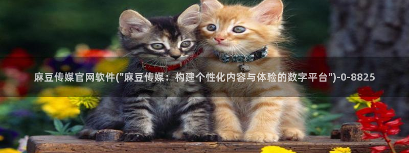 麻豆视频专题内容