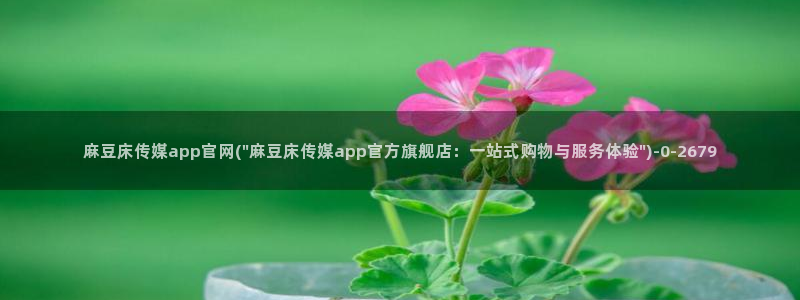 麻豆都市剧情